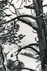 View in a Storm, 1973